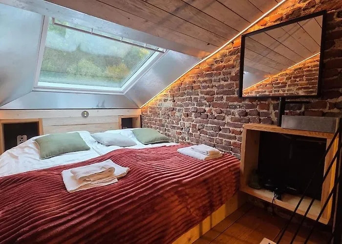 Maison Au Bord De La Riviere - 18 Lits - Jacuzzi - Piscine Esneux